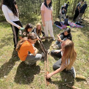 Teamwork: Erstellung einer Murmelbahn im Wald: Anforderungen nur natürliche Materialien, Tunnel und Kurve mussten enthalten sein